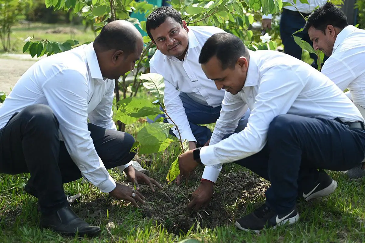 CFlo recently undertook a mass tree plantation drive