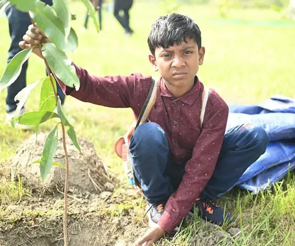 CFlo recently undertook a mass tree plantation drive