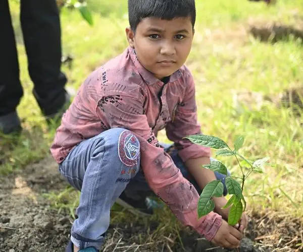 CFlo recently undertook a mass tree plantation drive
