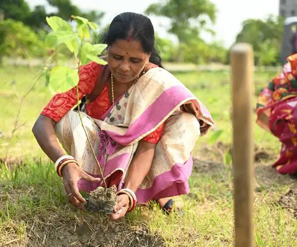 CFlo recently undertook a mass tree plantation drive