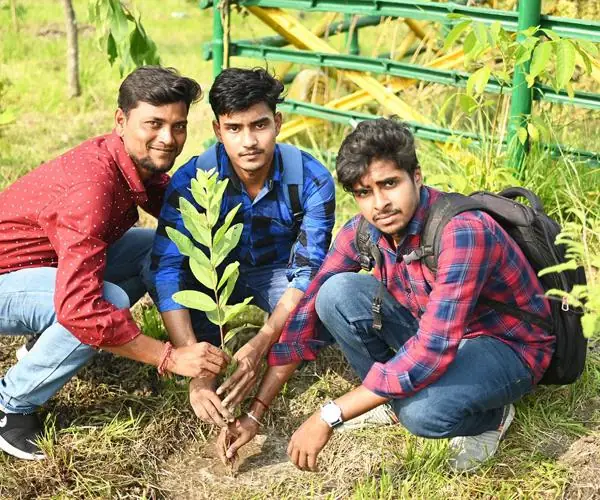 CFlo recently undertook a mass tree plantation drive
