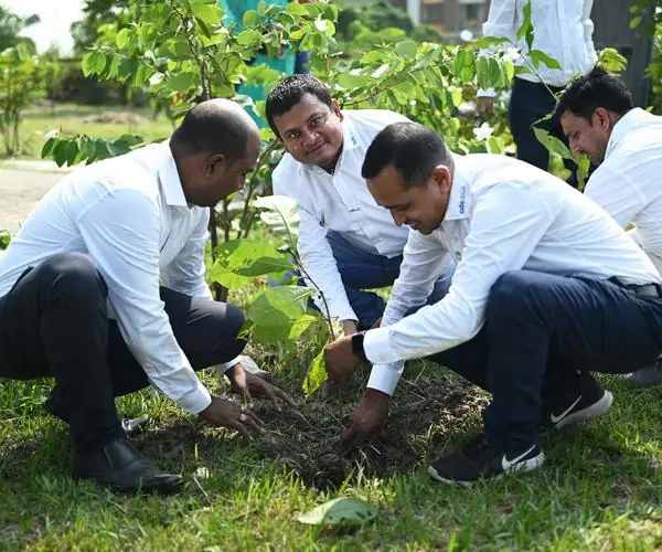 CFlo recently undertook a mass tree plantation drive