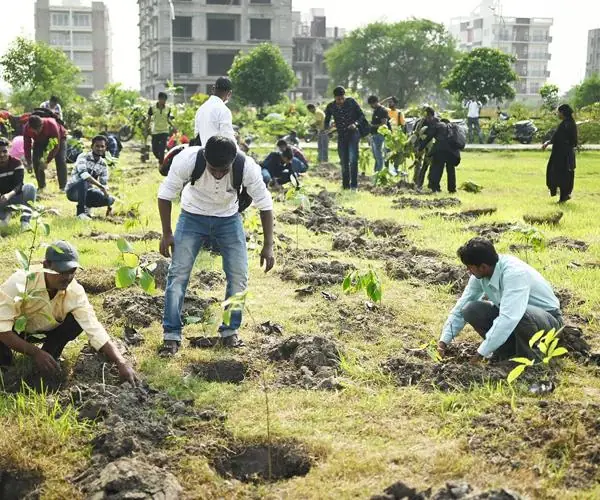 CFlo recently undertook a mass tree plantation drive