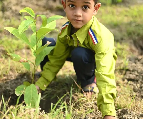 CFlo recently undertook a mass tree plantation drive