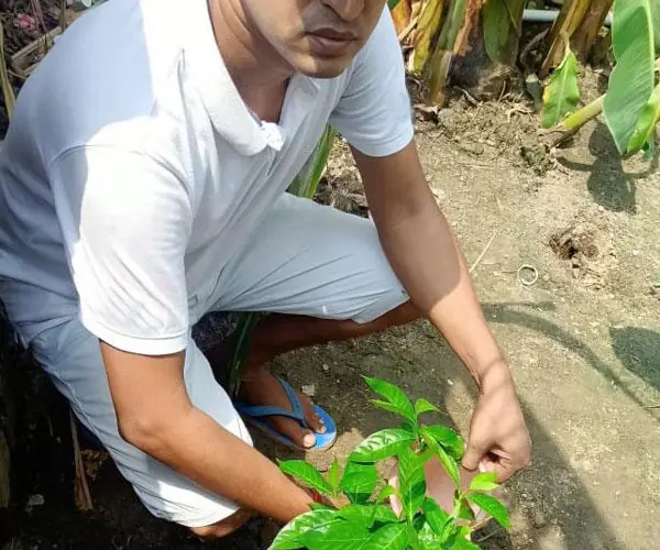 World Environment Day - Virtual Celebration