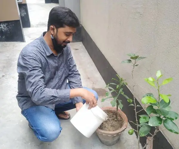 World Environment Day - Virtual Celebration
