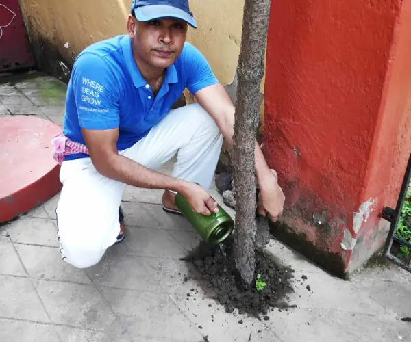 World Environment Day - Virtual Celebration