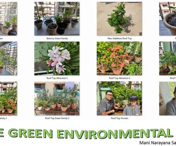 World Environment Day - Virtual Celebration