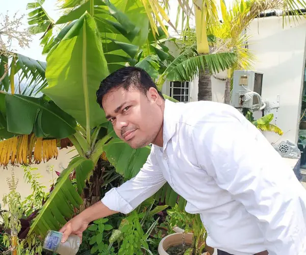 World Environment Day - Virtual Celebration