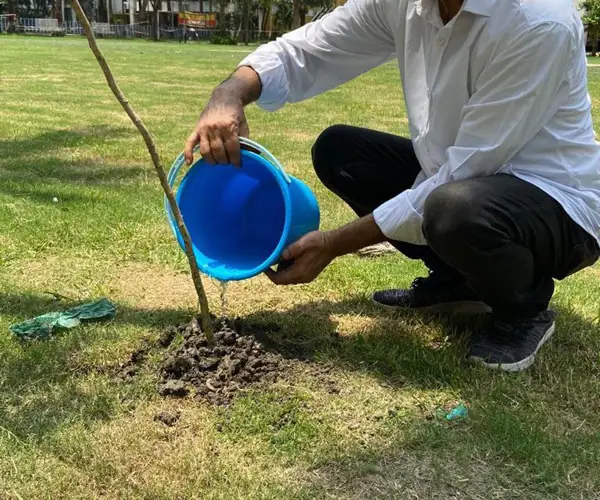 World Environment Day - Virtual Celebration